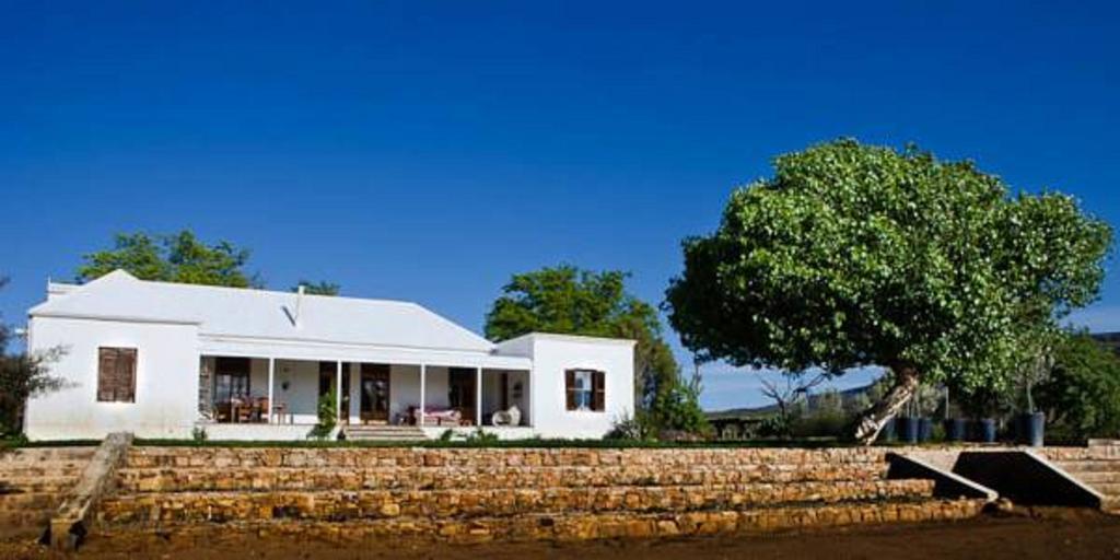 Maison d'hôtes Vrisch Gewagt Boutique Self-Catering Olive Farm à Prince Albert Extérieur photo